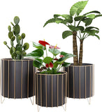 1pcs Ascent Black Plant Pot with Gold Metal Wire Based Planter Stand In Pakistan