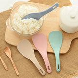Best Household Rice Scoop Spoon In Pakistan