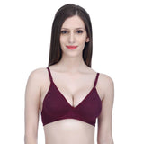 Deep V Neck Plain Hosiery Bra - Purple In Pakistan