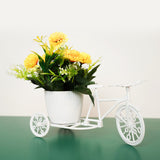 Flowers Artificial Nostalgic Bicycle Décor Plant Stand In Pakistan