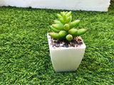 Artificial Mini Cactus Plant Decoration