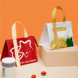 Home Square Fashion Portable Lunch Box Bag In Pakistan