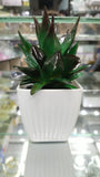 Home Square Green Tree Artificial Plant For Decoration In Pakistan