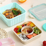 Home Square Lunch Box With Separate Partition (Microwave Safe) In Pakistan