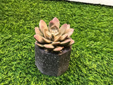 Mini Flower Pot