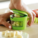 Home Square Mini Garlic Presser In Pakistan