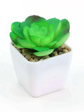 Mini Green Plant Pot Decoration