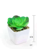 Home Square Mini Green Plant Pot Decoration In Pakistan