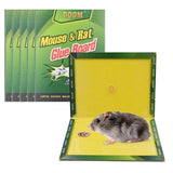 Home Square Mouse Glue Traps Expert Catch ( Pack Of 3 ) In Pakistan