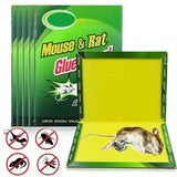 Home Square Mouse Glue Traps Expert Catch ( Pack Of 3 ) In Pakistan