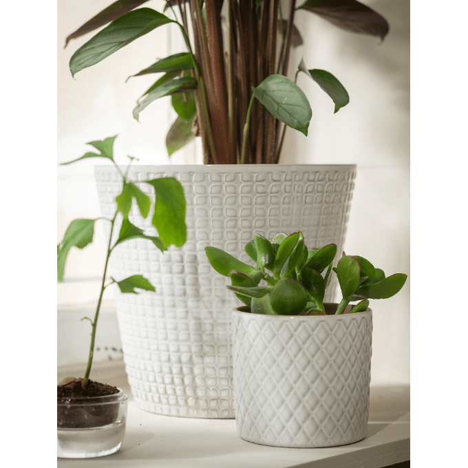 IKEA CHIAFRON Plant Pot - White 9 cm In Pakistan Just e-Store