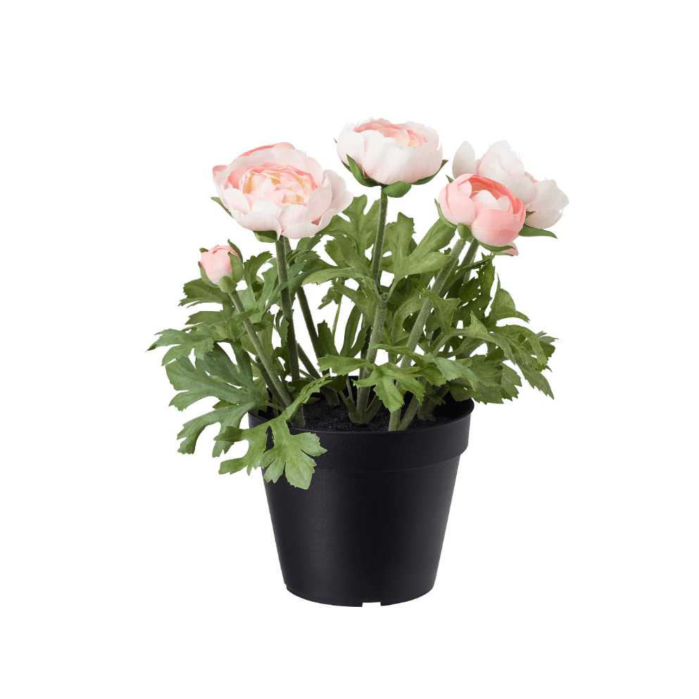 just ikea FEJKA Artificial Potted Plant- In Outdoor -Ranunculus Pink 12 cm ikea in pakistan