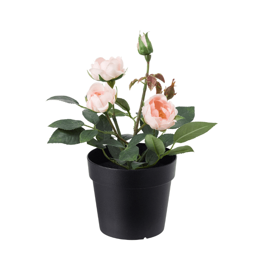 IKEA FEJKA Artificial Potted Plant  In Outdoor Rose Pink 9 cm In Pakistan Just e-Store
