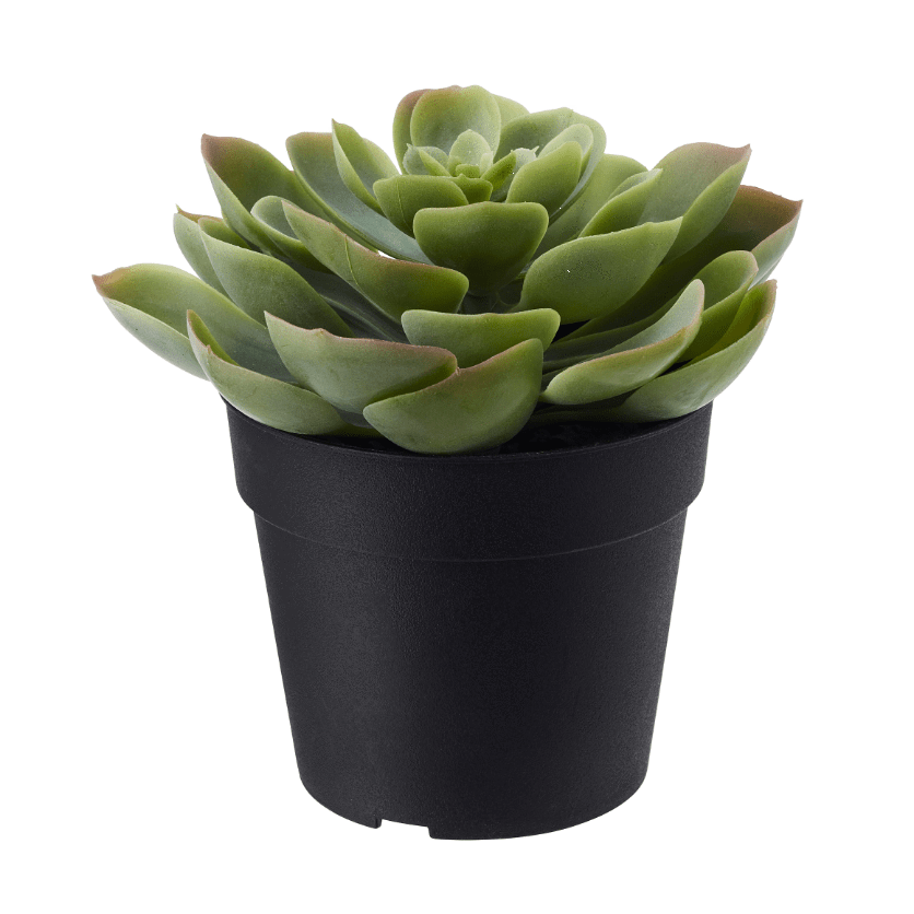 IKEA FEJKA Artificial Potted Plant - In Outdoor Succulent 9 cm In Pakistan Just e-Store