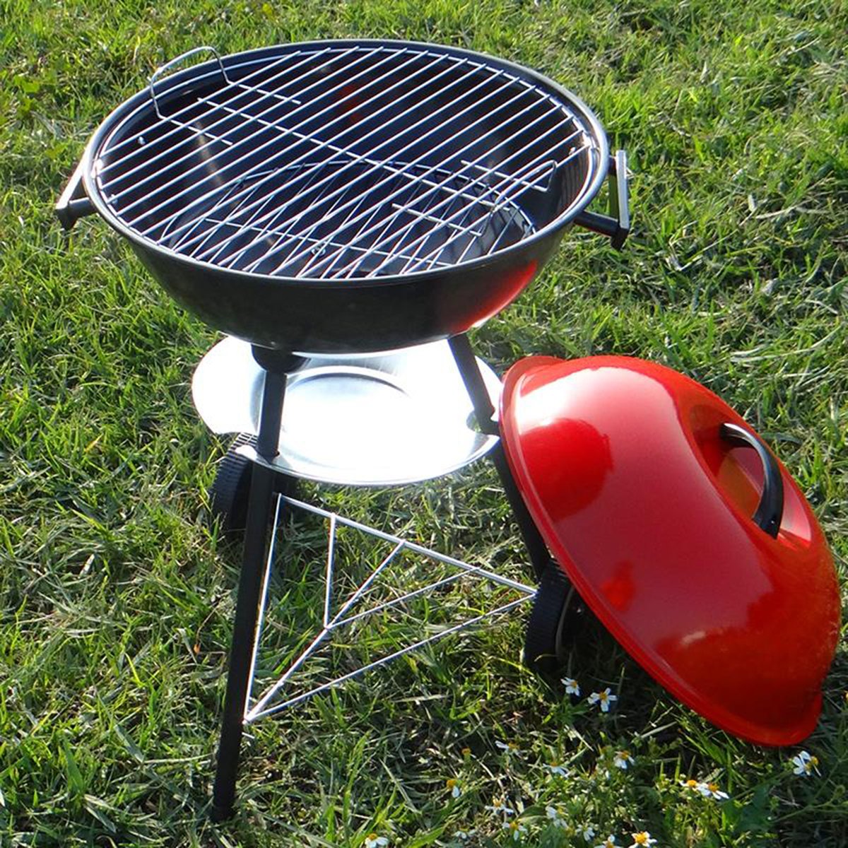 B and 2024 q charcoal bbq