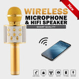 Wireless Microphone Handheld Mic USB Player Speaker In Pakistan